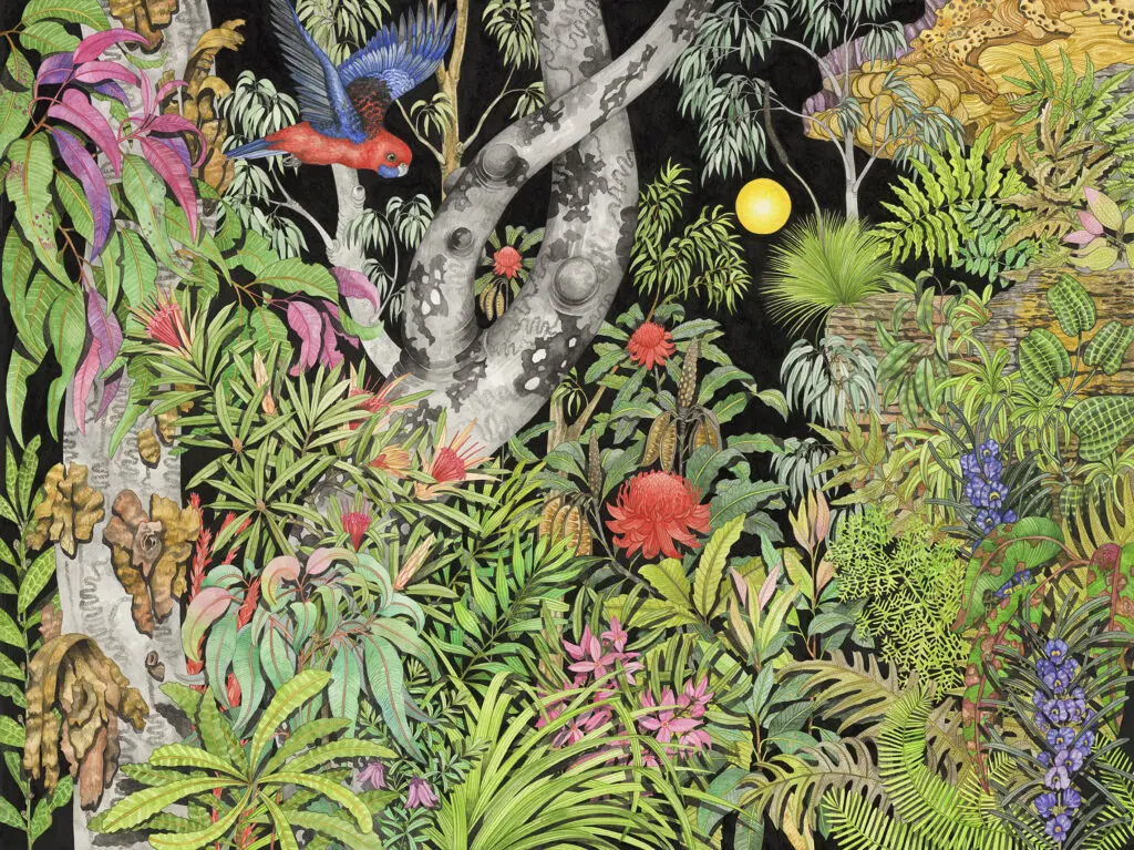 Golden afternoon sun, Dharug Country