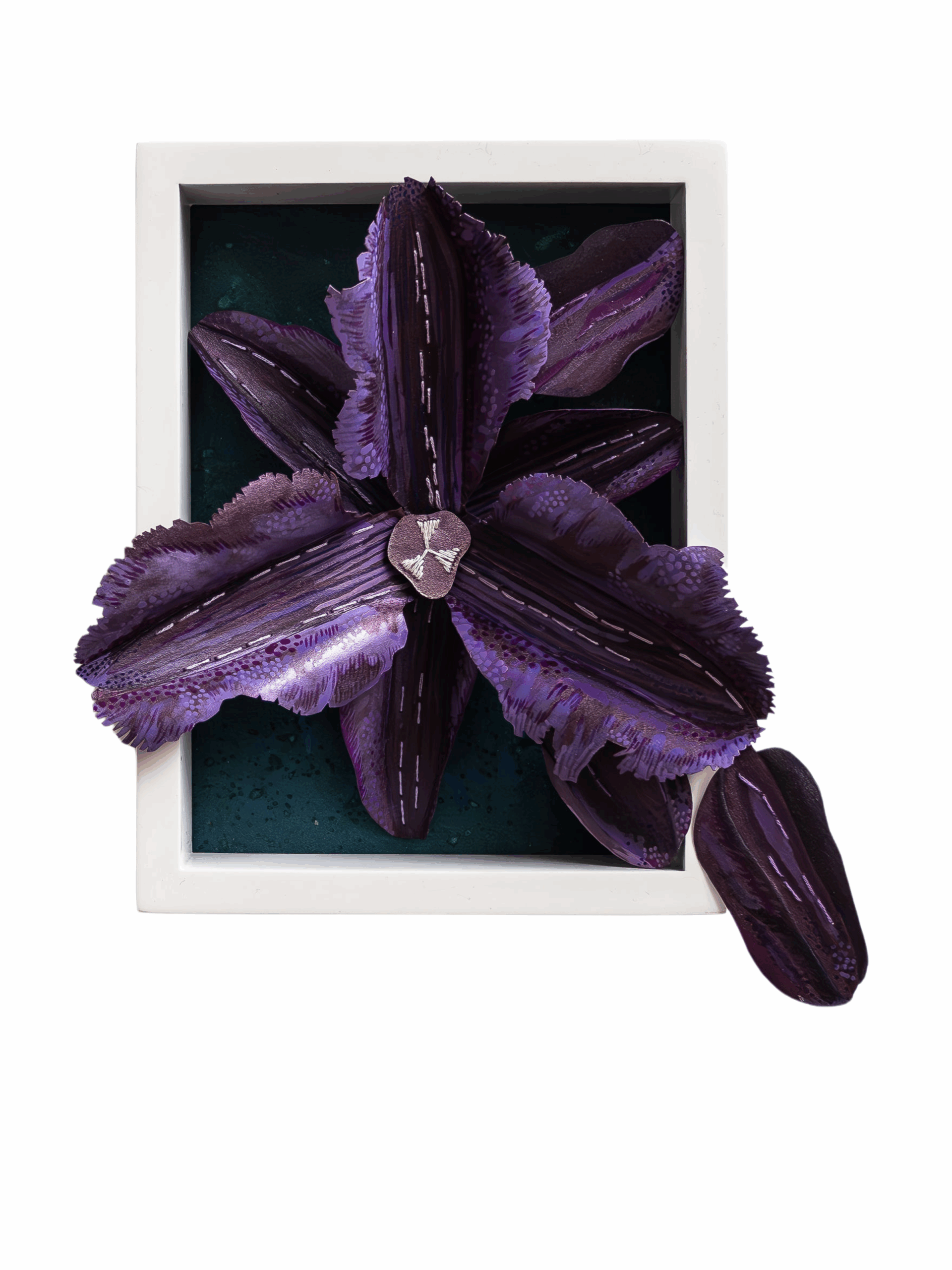 Nature’s Lens: Anticipation