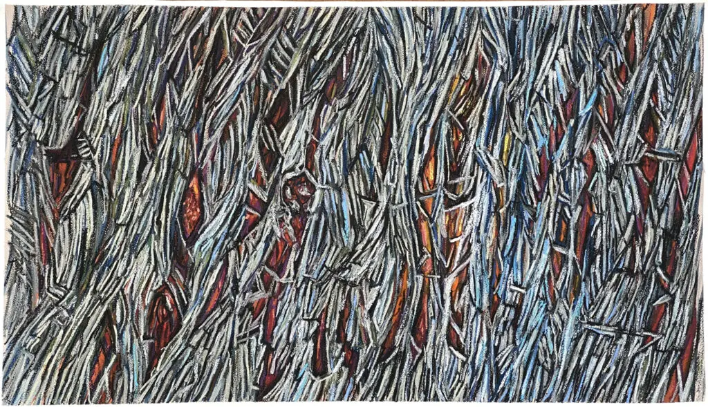 Study for The Ironbark