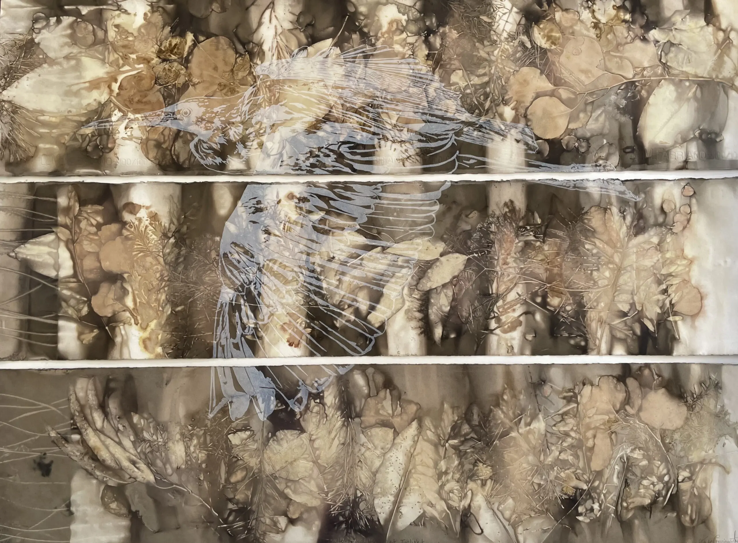 White-faced Heron at Twilight