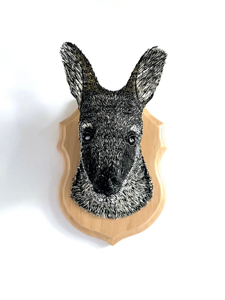 An Accusatory Stare (Toolache Wallaby)